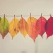Feuilles passant du vert au rouge au fil des saisons, illustrant les cycles naturels présents dans l’astrologie.
