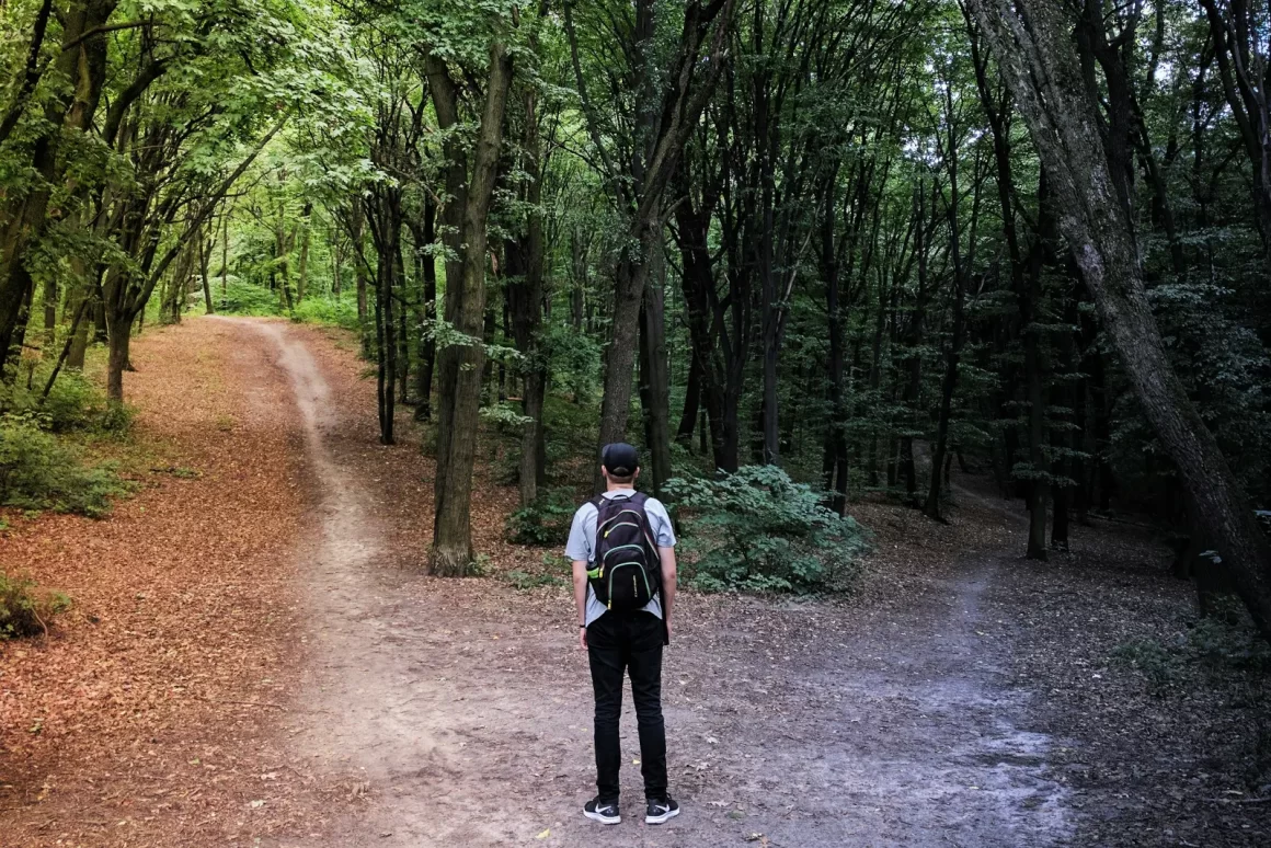 Randonneur arrêté à une bifurcation en forêt, symbolisant le choix et le libre arbitre en astrologie.