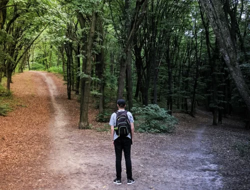 Randonneur arrêté à une bifurcation en forêt, symbolisant le choix et le libre arbitre en astrologie.
